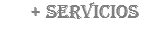+ SERVICIOS